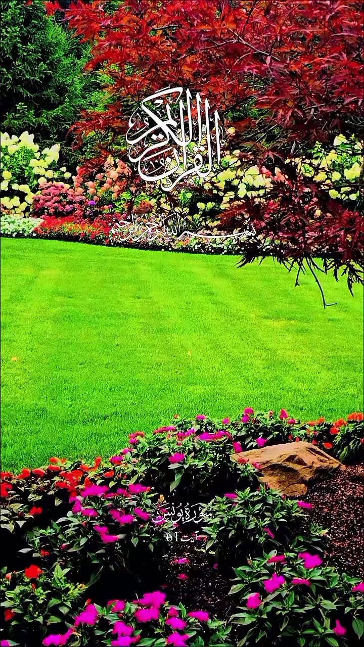 @M⍺ℓⅈk M⌰♭⍺sℎⅈr ❤️👑👑💫