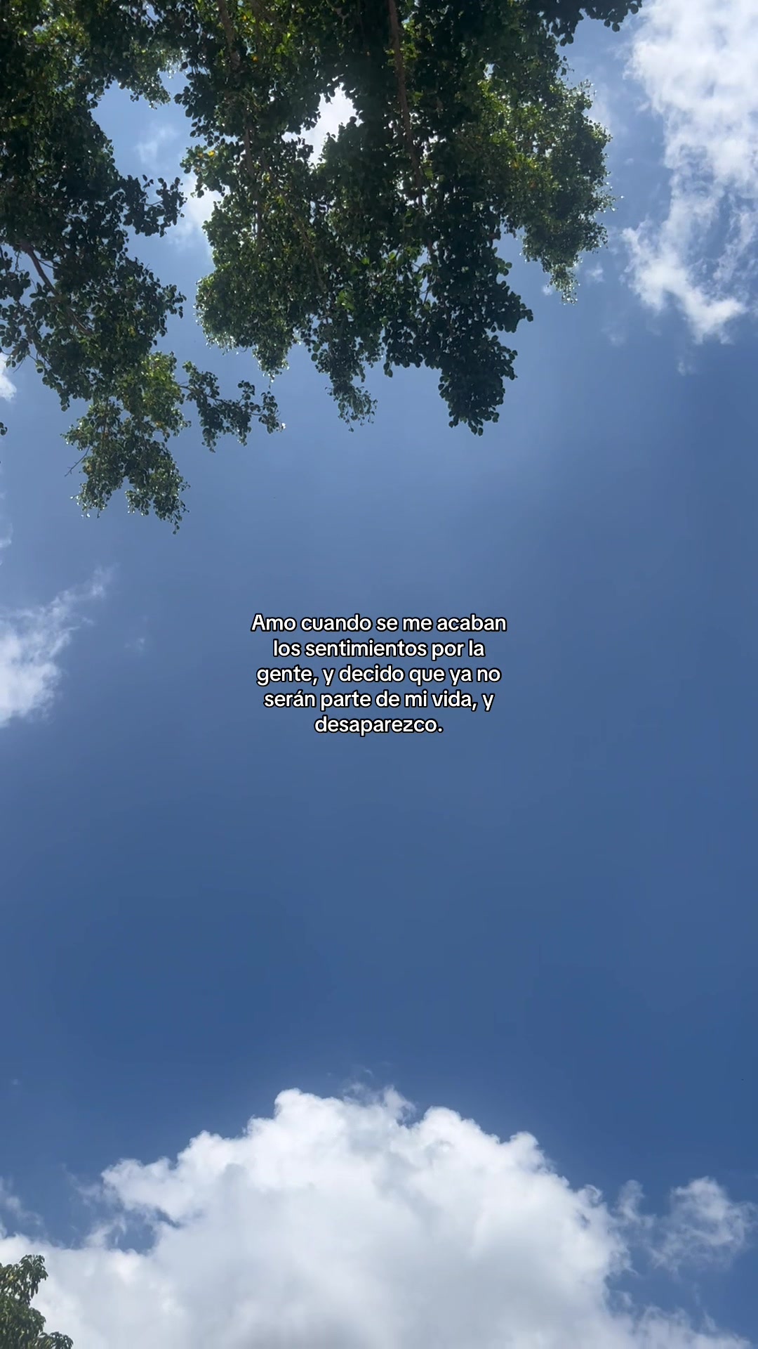 @ℒ𝒶 𝓅𝓁𝒶𝓃𝓉𝒾𝓉𝒶🌱