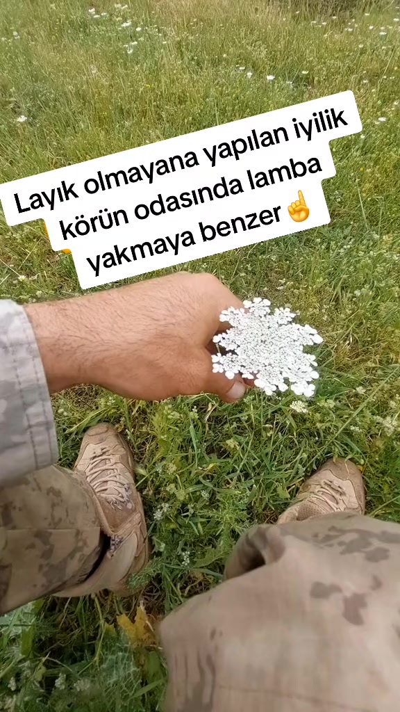 @𝐌𝐘 𝐋𝐈𝐅𝐄 𝐌𝐘 𝐑𝐔𝐋𝐄𝐒