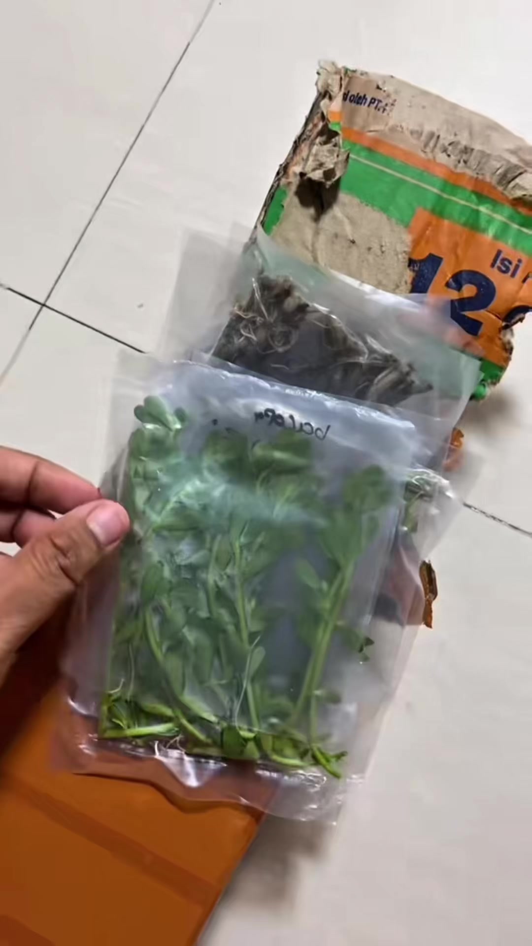 @Piara ikan di galon