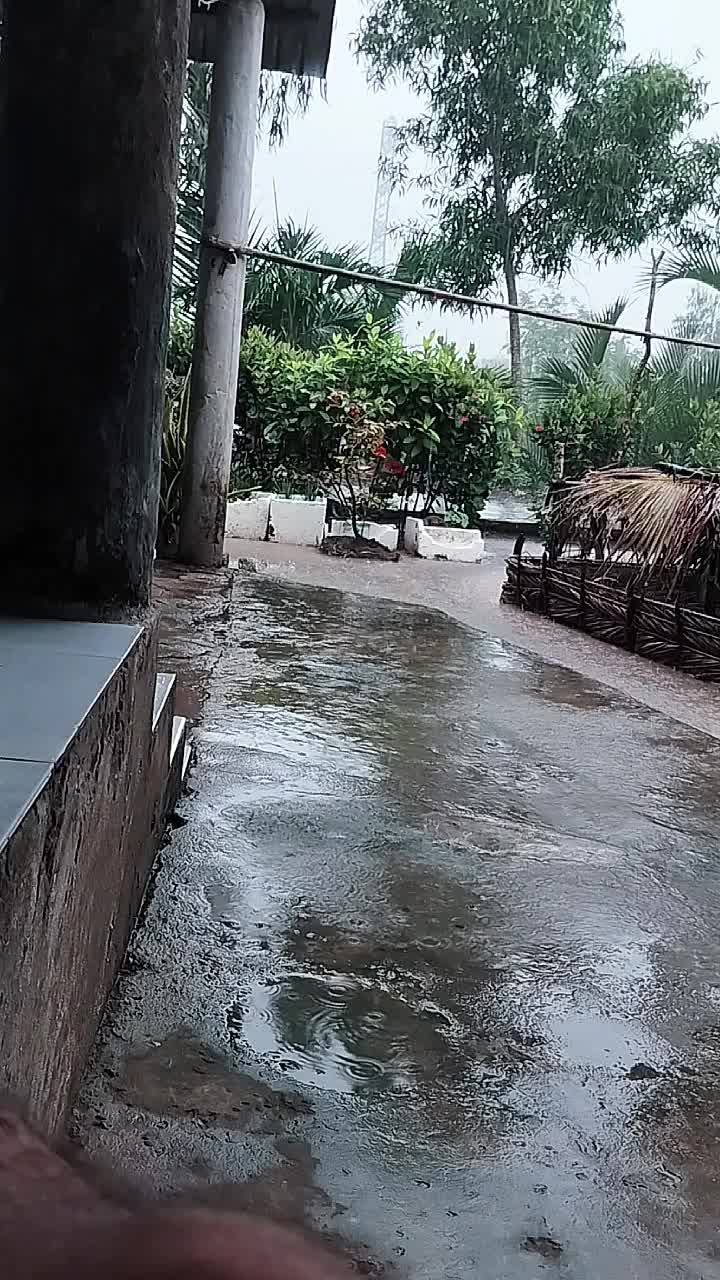 @Đờ-Gi T&acirc;m🦐🦀