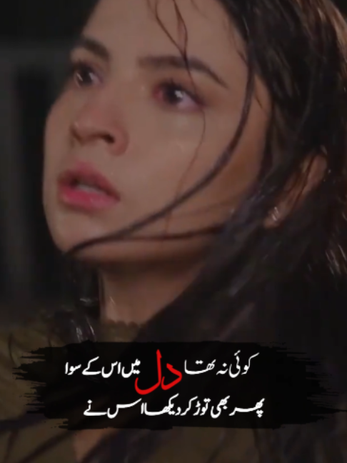 @Tootyfruity Bulbul