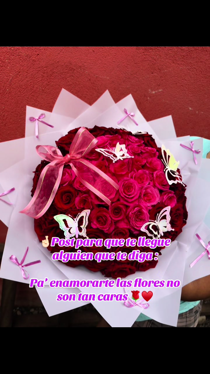 @encanto_floral_luan