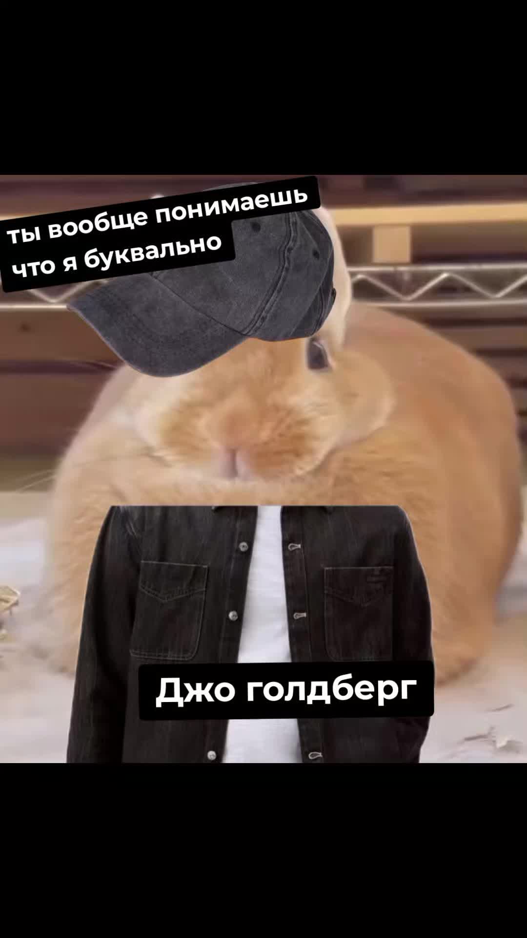 @🧢]JoeGoldberg[👀
