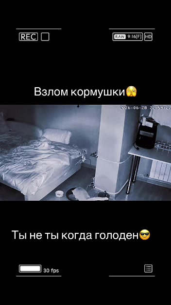 @Lis