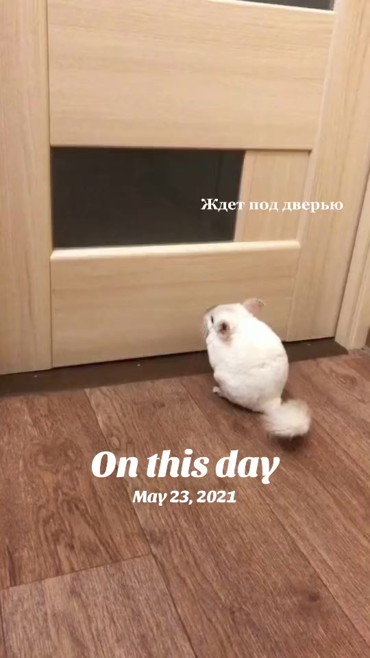 @Лулу