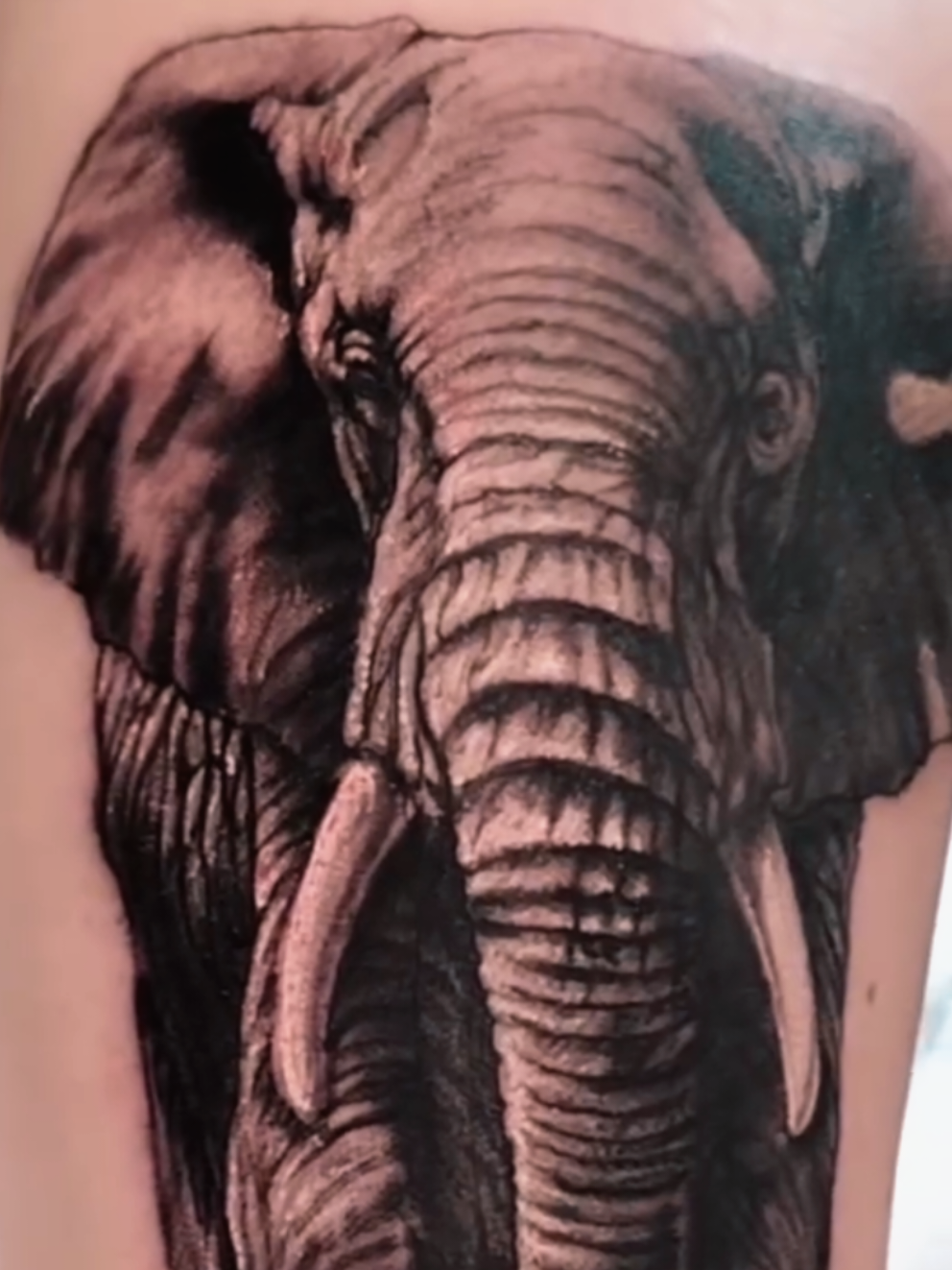 @Bich Tattoo