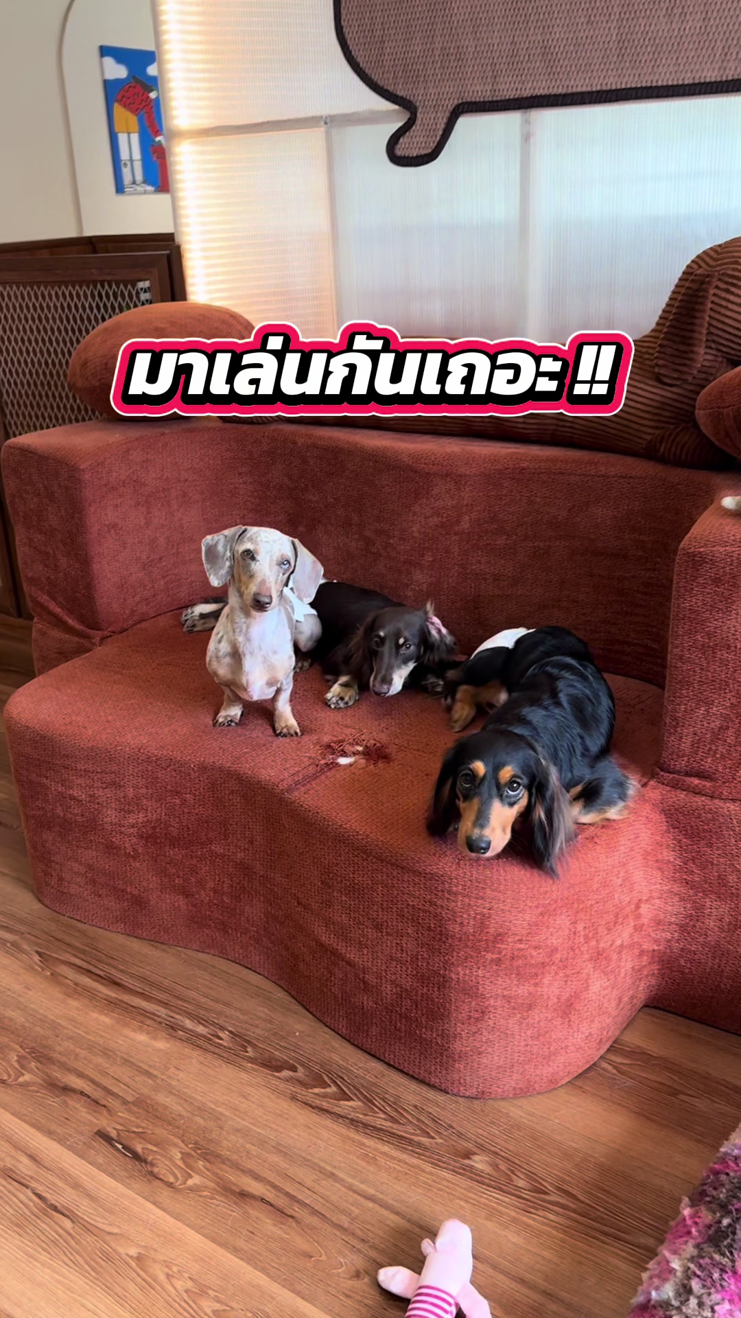 @JUMPEN l จำเป็น พาเล่น