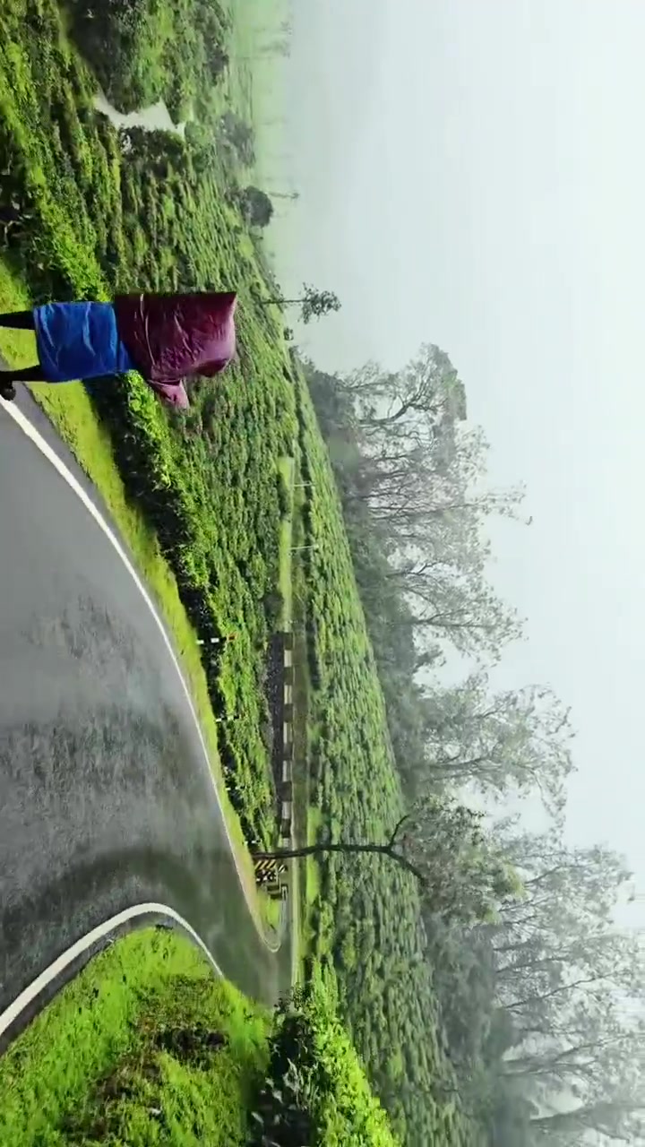 @jamshi585885