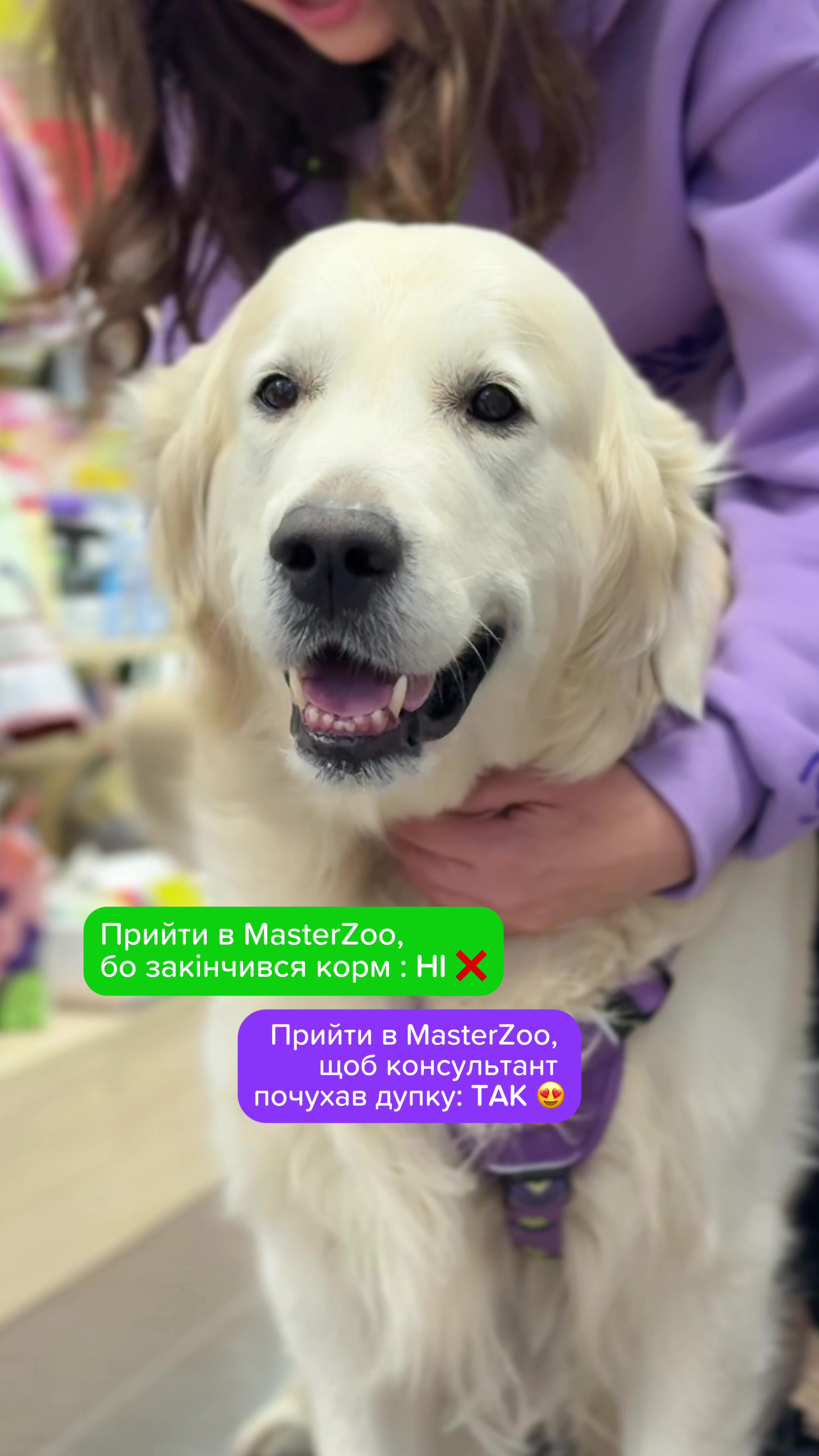 @Зоомаркет MasterZoo
