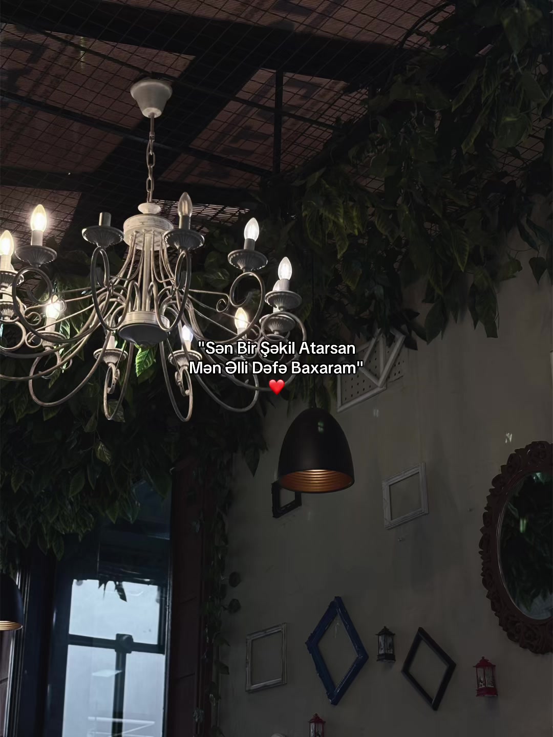 @Almemmedows⚡️