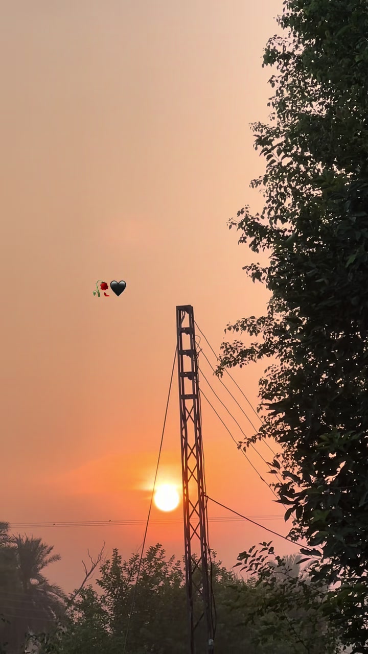 @🕊️ کا شی 💫