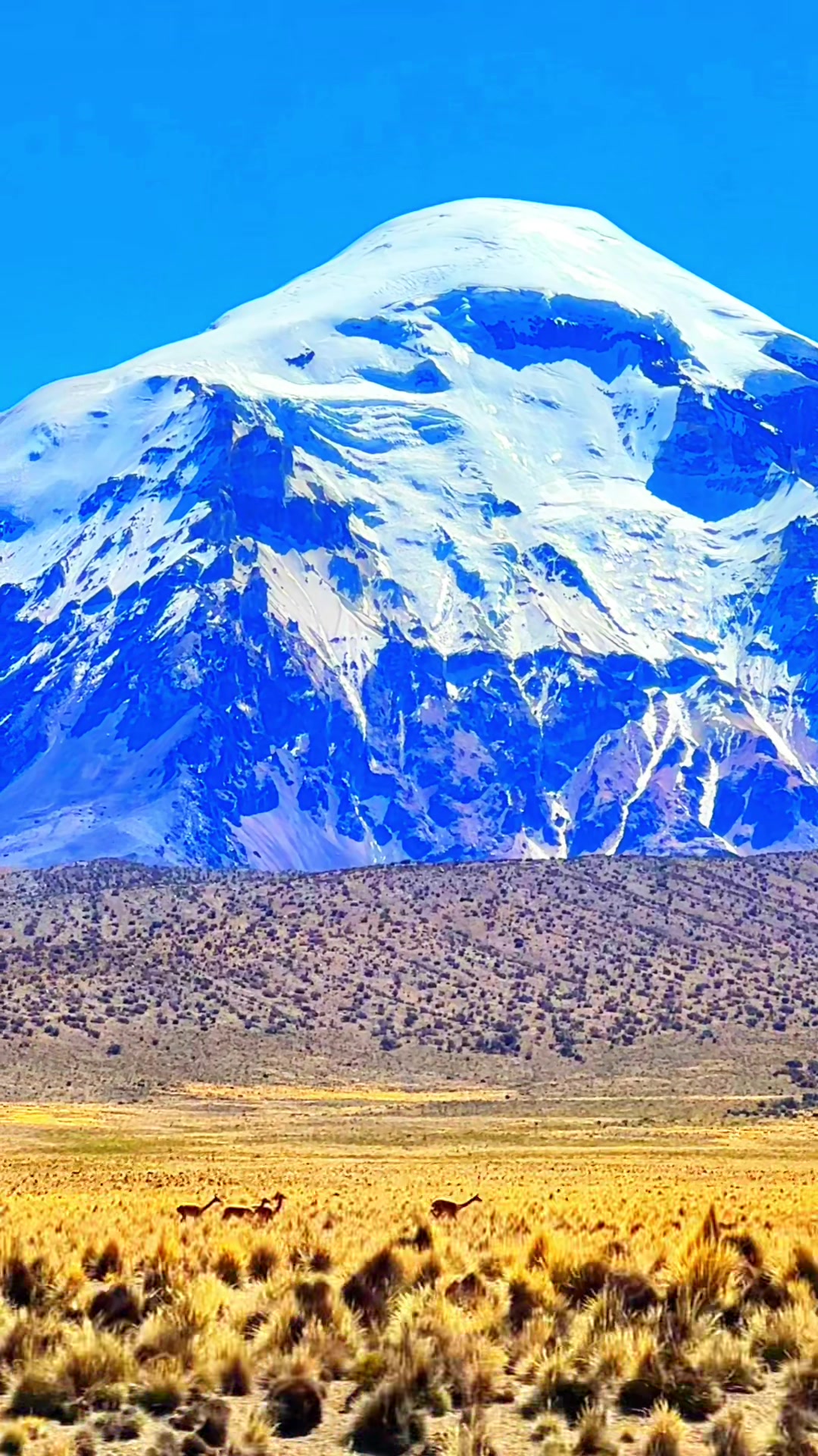@VISION TOURS BOLIVIA