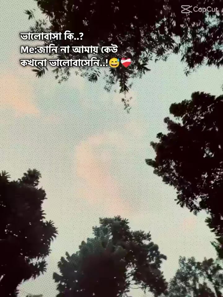 @🐼 𝕋𝕒𝕟𝕦 🕷️ 💫