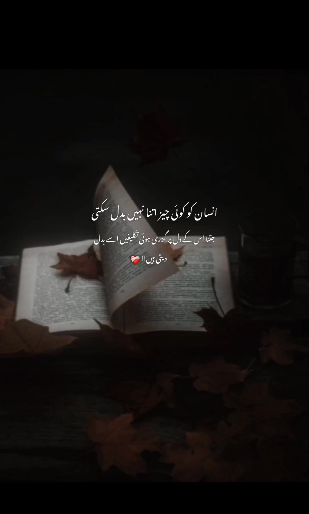 @𝐉𝐚𝐧𝐧𝐀𝐓🤍"