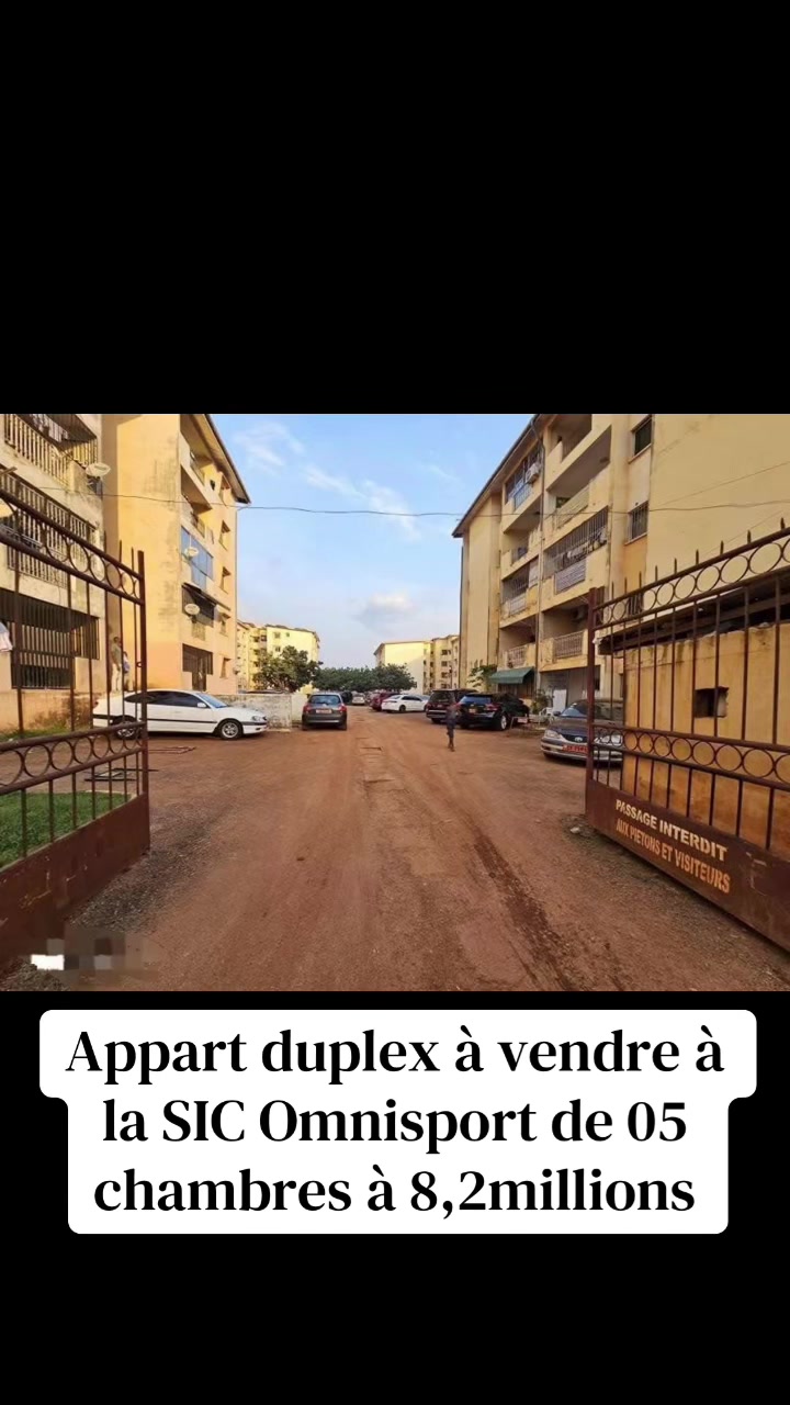 @DINO~IMMO~237🇨🇲🇨🇲