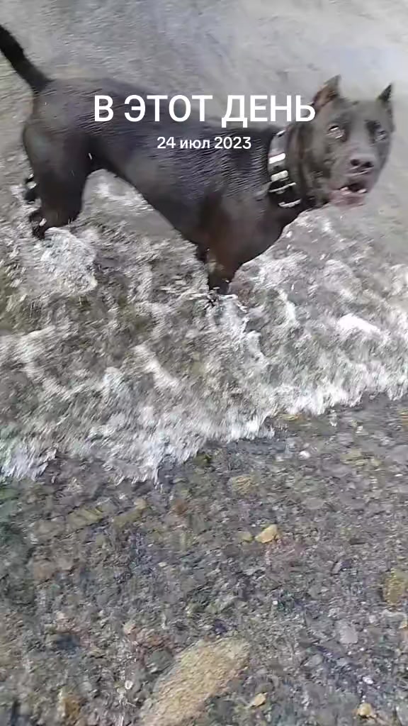 @Роман