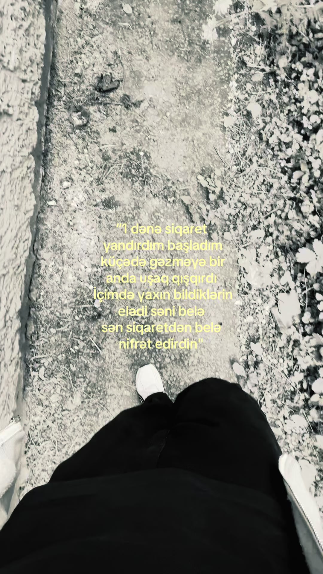 @Memmedows⚡️