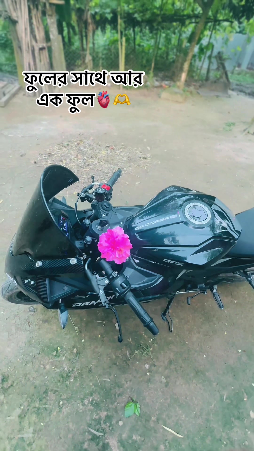 @𝒟ℯ𝓂ℴ𝓃 ℛ𝒾𝒹ℯ𝓇 シ゚