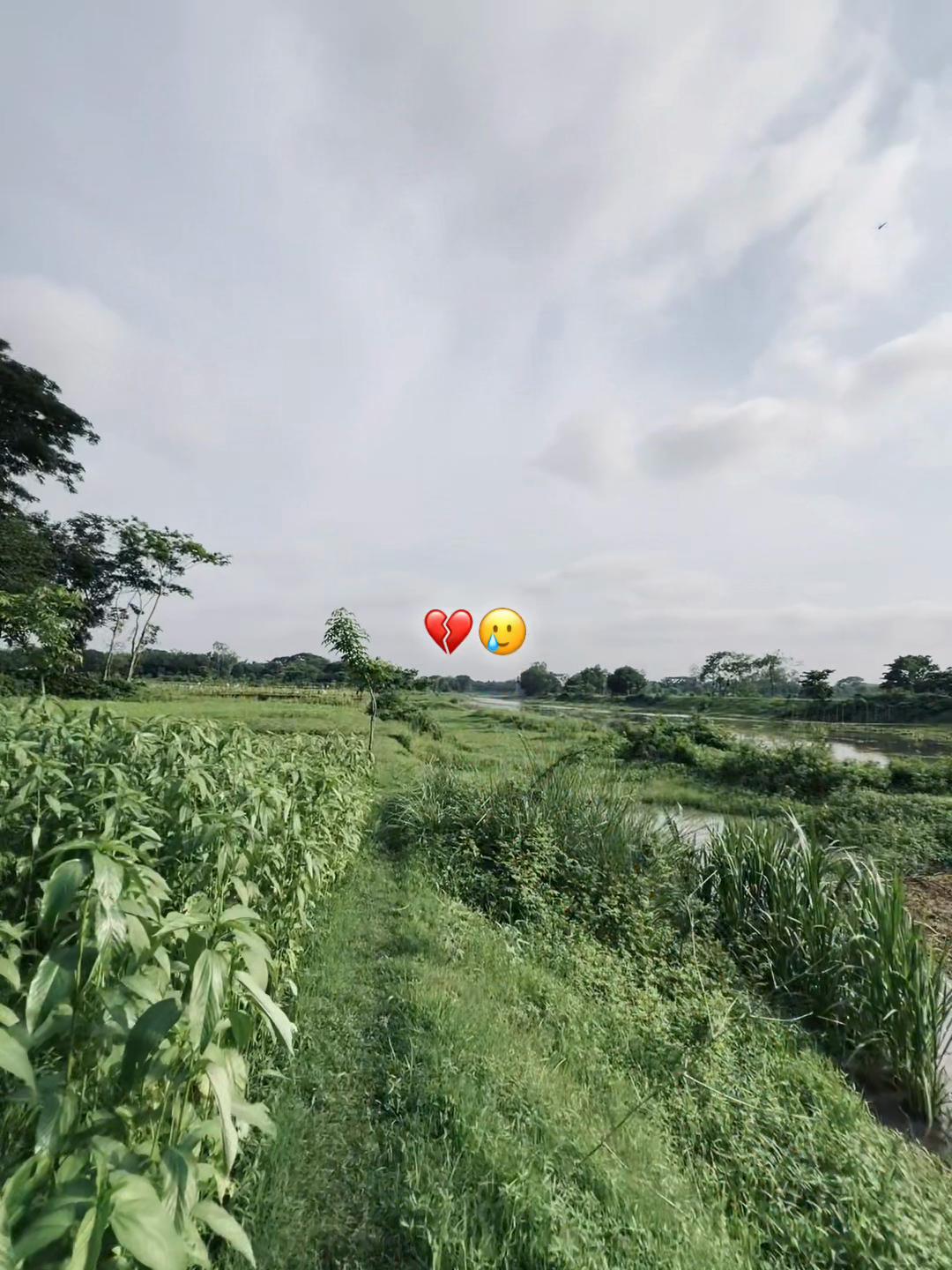 @—อ๐๐๐๐๐๐๐ แฅซแญกแึ ๐ง๐ซง