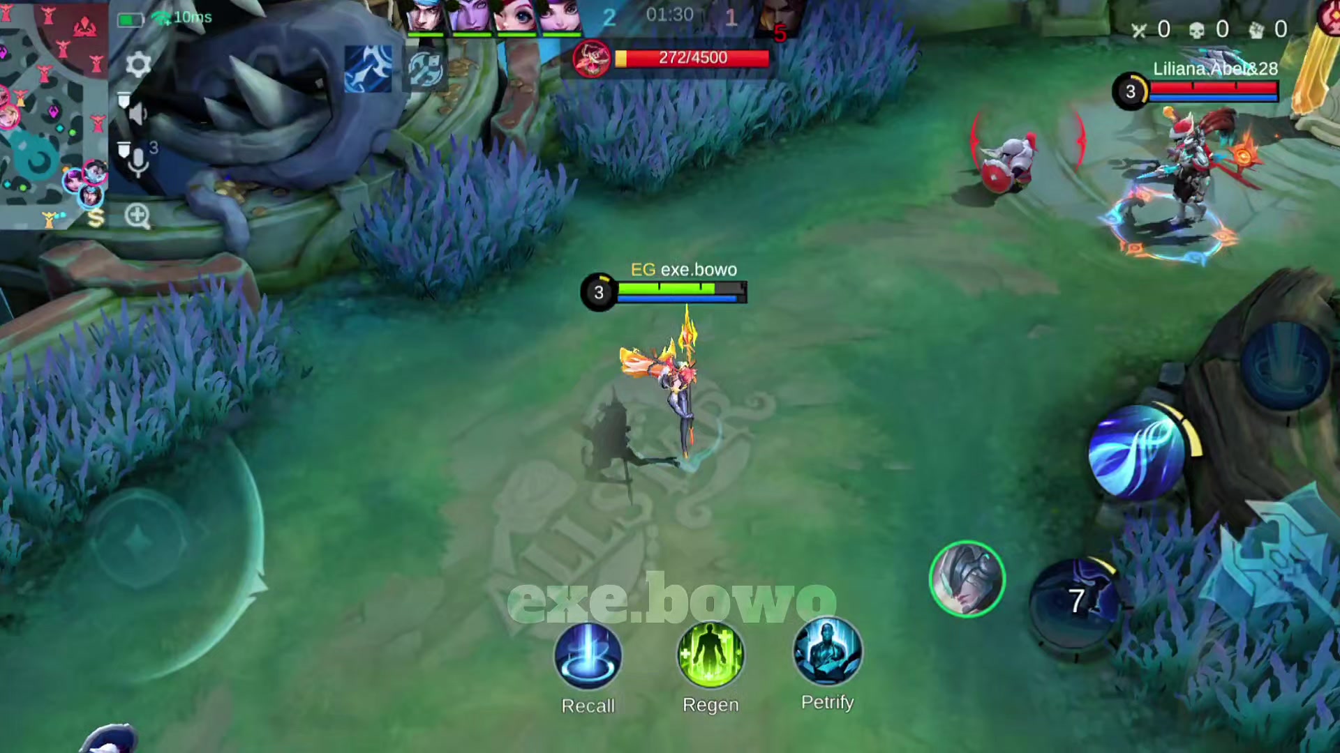 @exe bowo