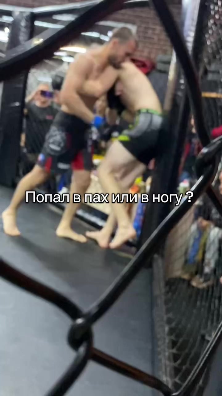 @ABGARYAN_MMA🇦🇲