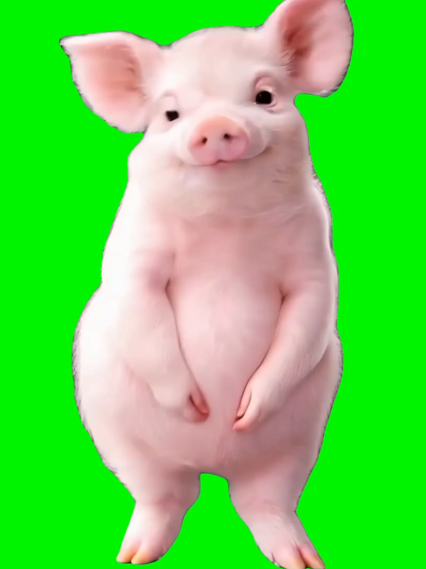 @GreenScreamMemes