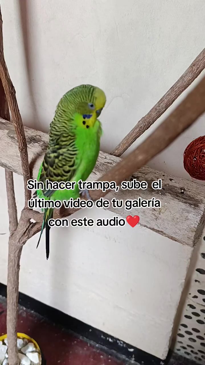 @🤎Nat🪶❤️&zwj;🔥