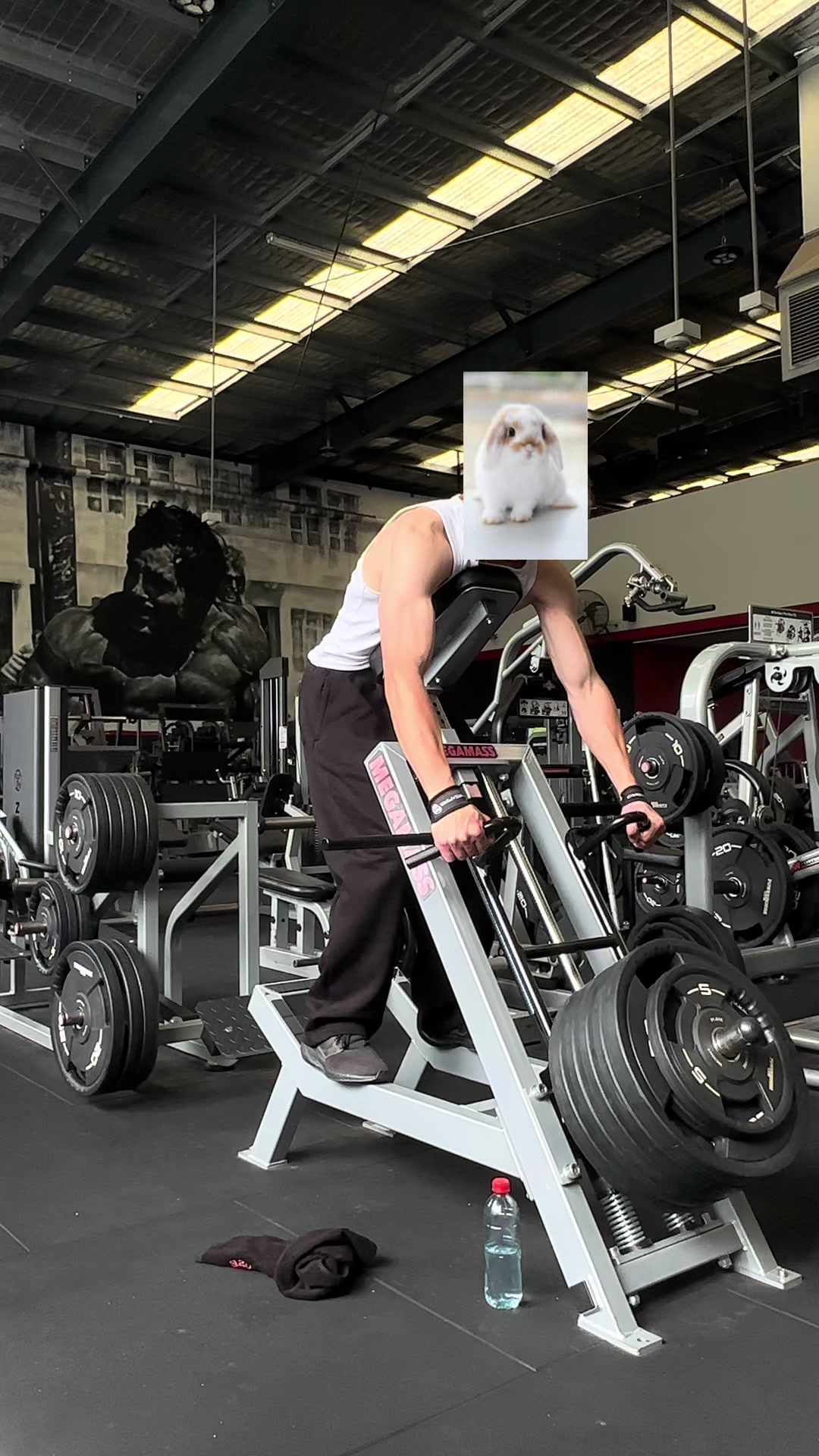 @l.lifts7