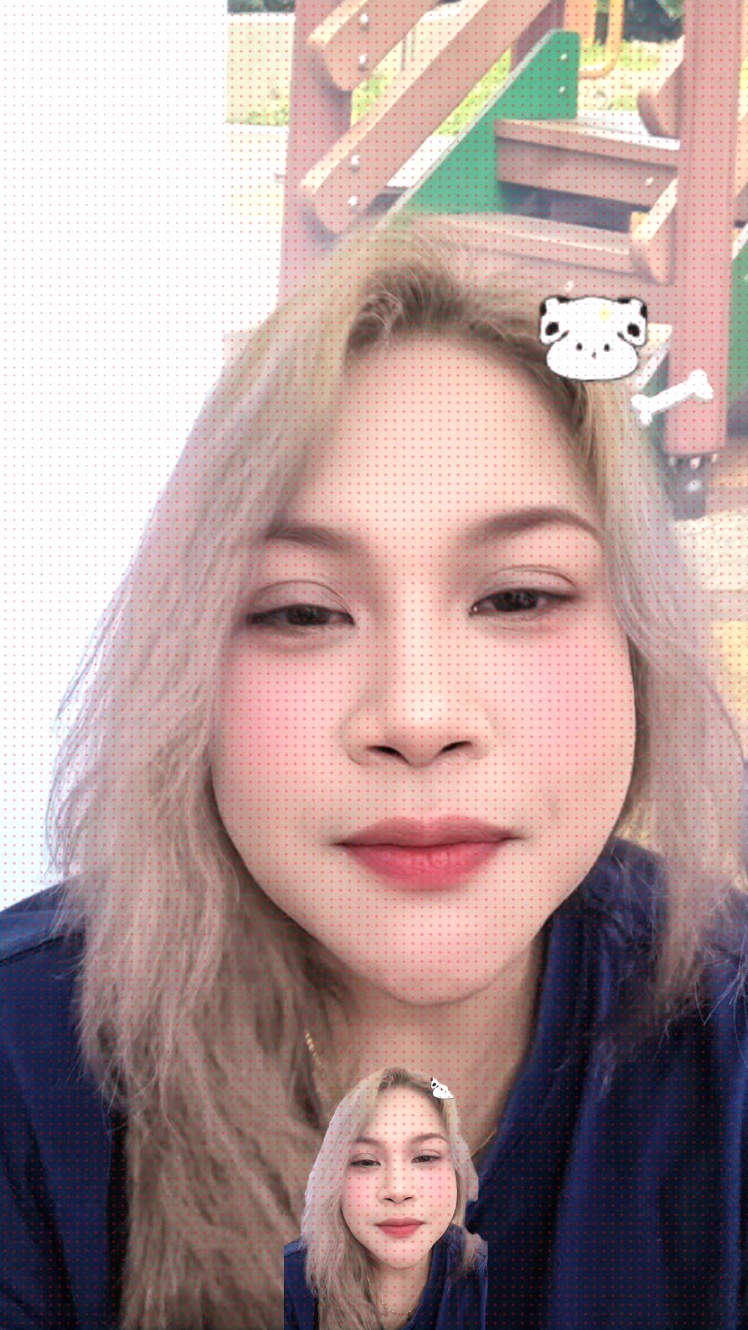 @๐ฆShikin๐ฆ๐ธ๐ฌ๐๐ฆ