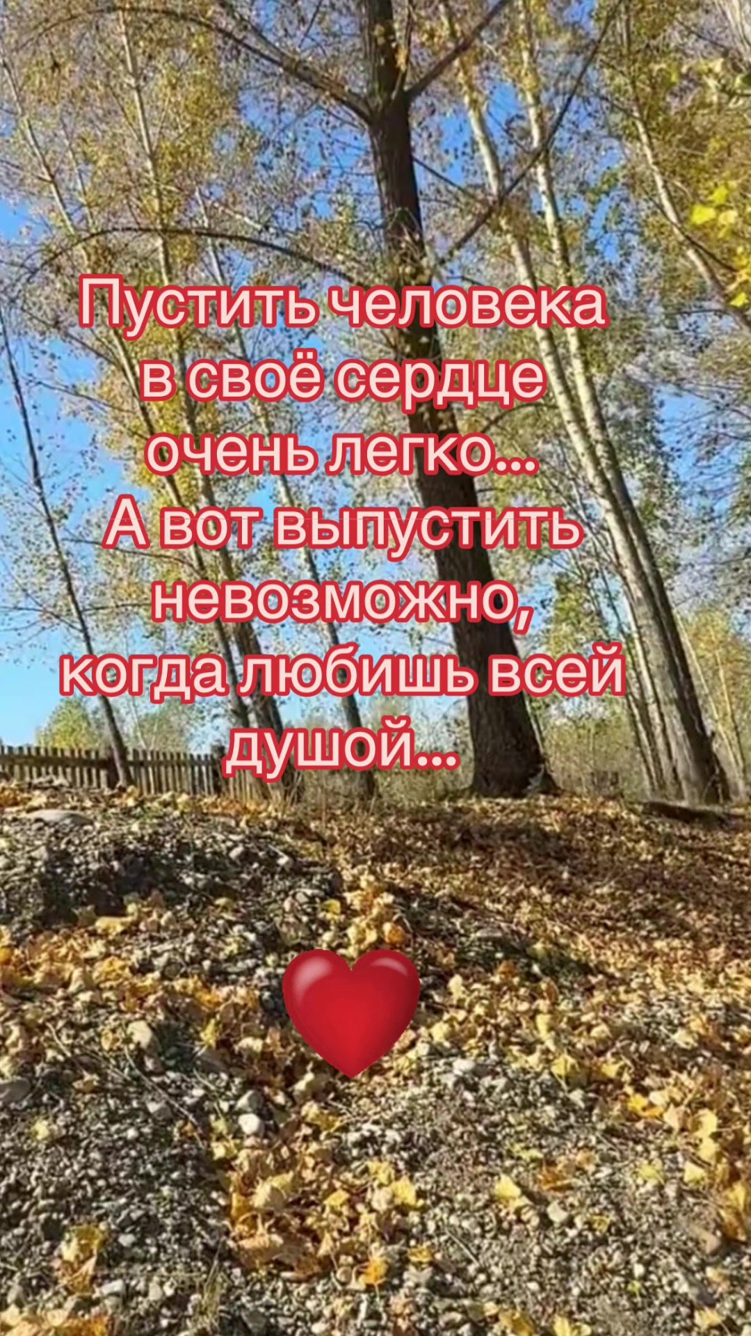 @Елена