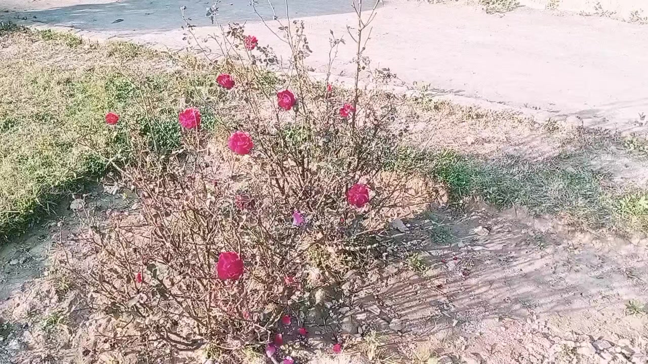 @๐ด๐๐๐๐ญ๐๐๐