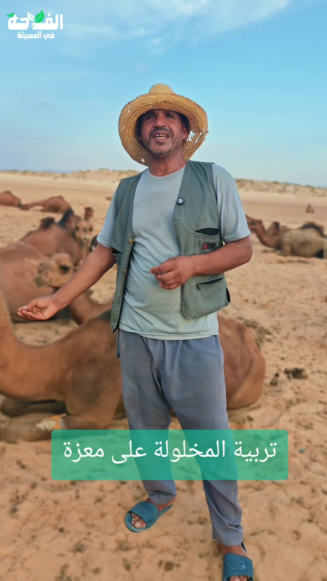 @الفلاحة في مسيلة