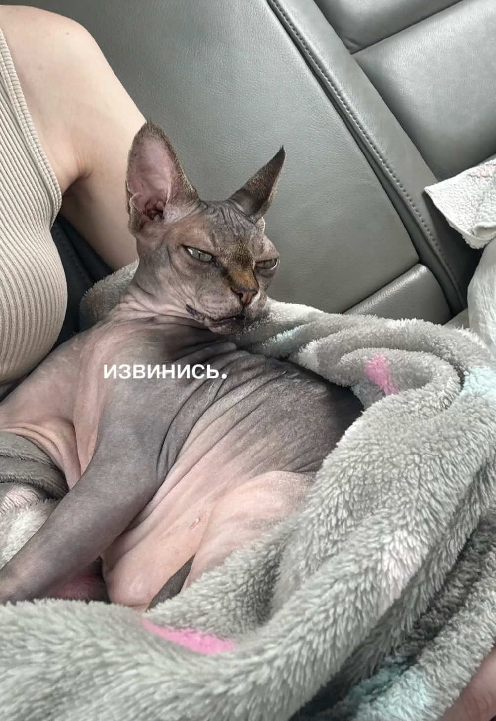 @Александра