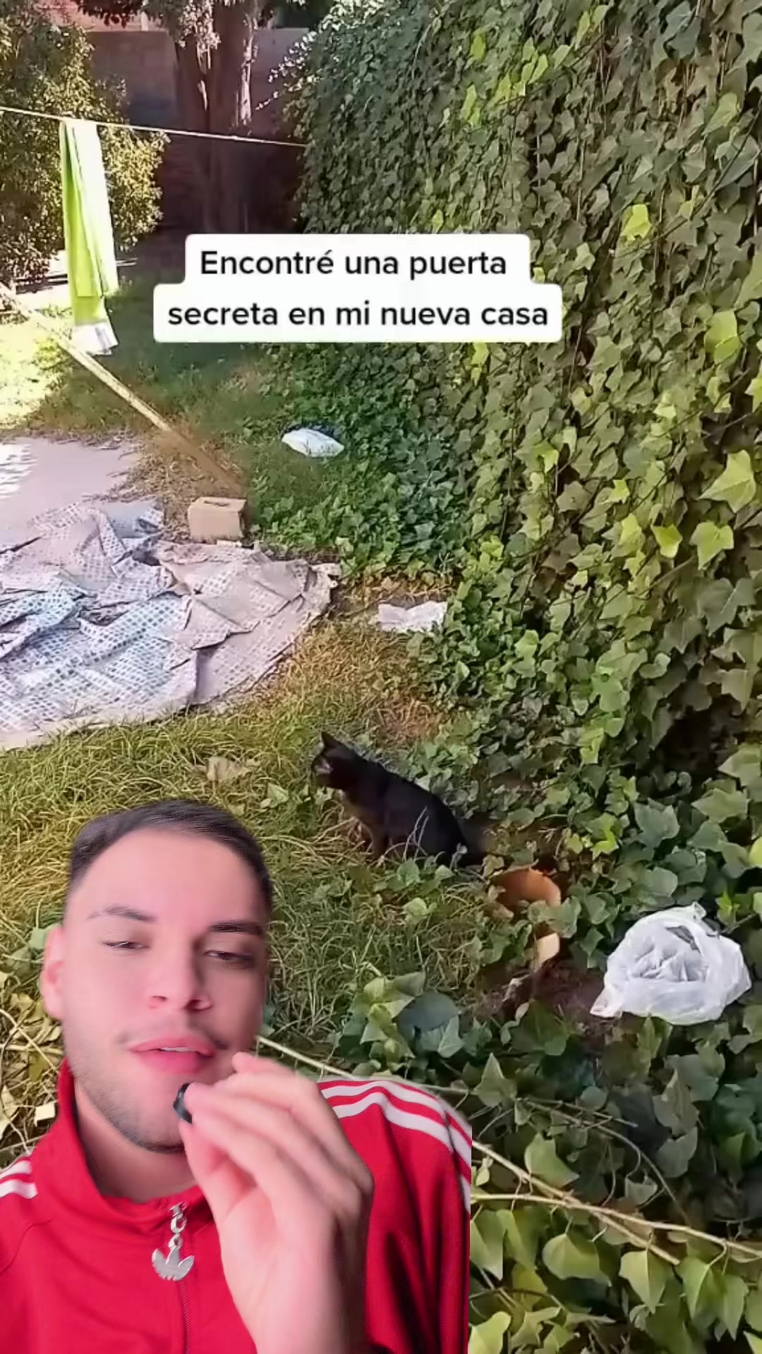 @Victorioso