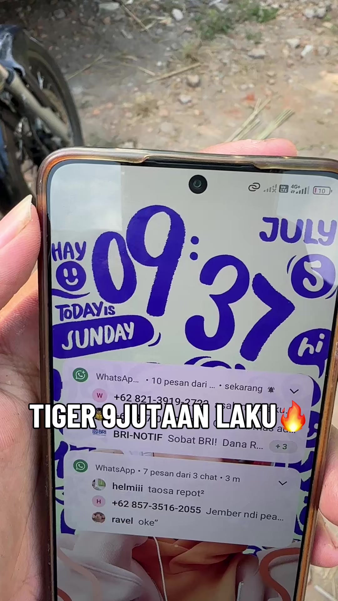 @TUMBAZ_HEREX