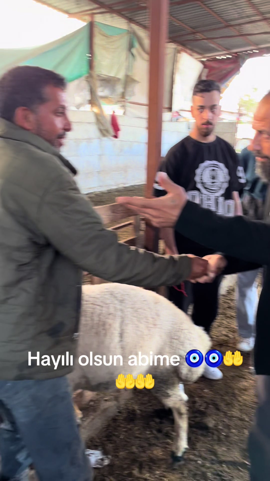 @Hatay canlı hayvan pazarı ✅✅✅