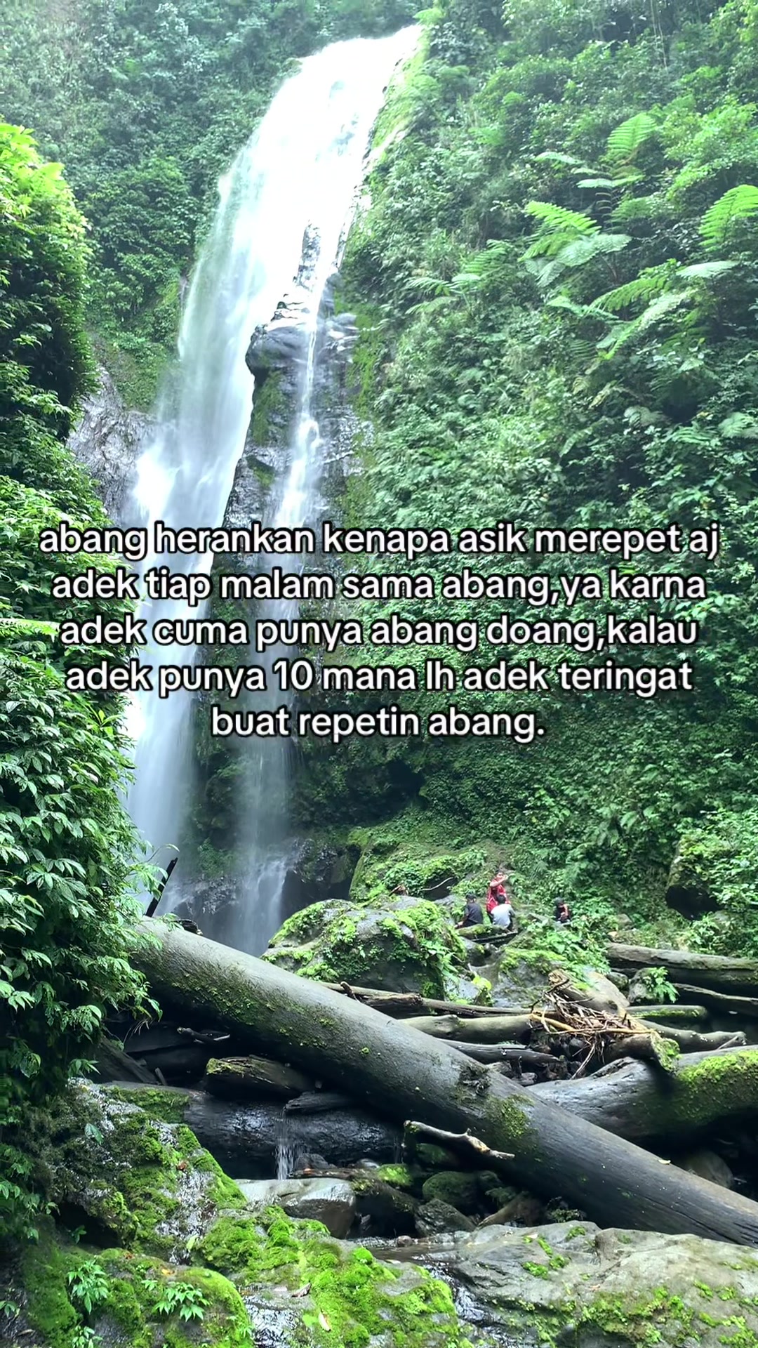 @tomato_enak