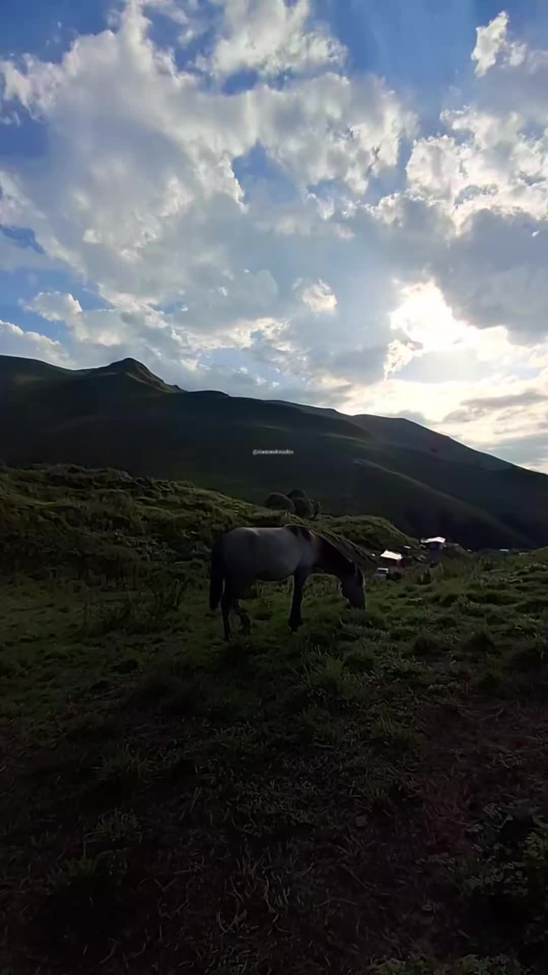@olannanolmazdan