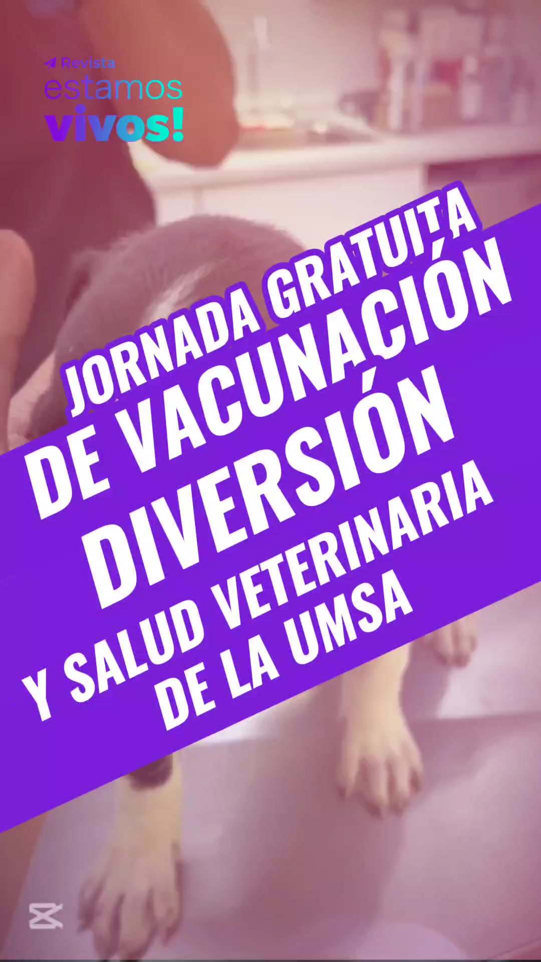 @Revista Estamos Vivos