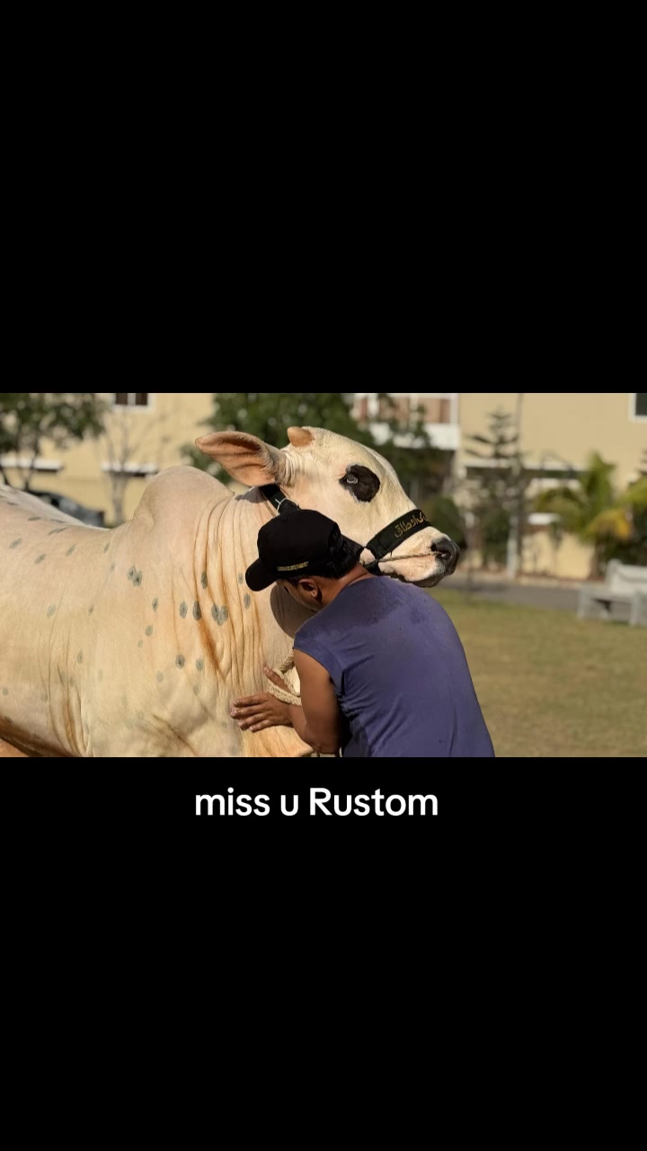 @Faraz Khan