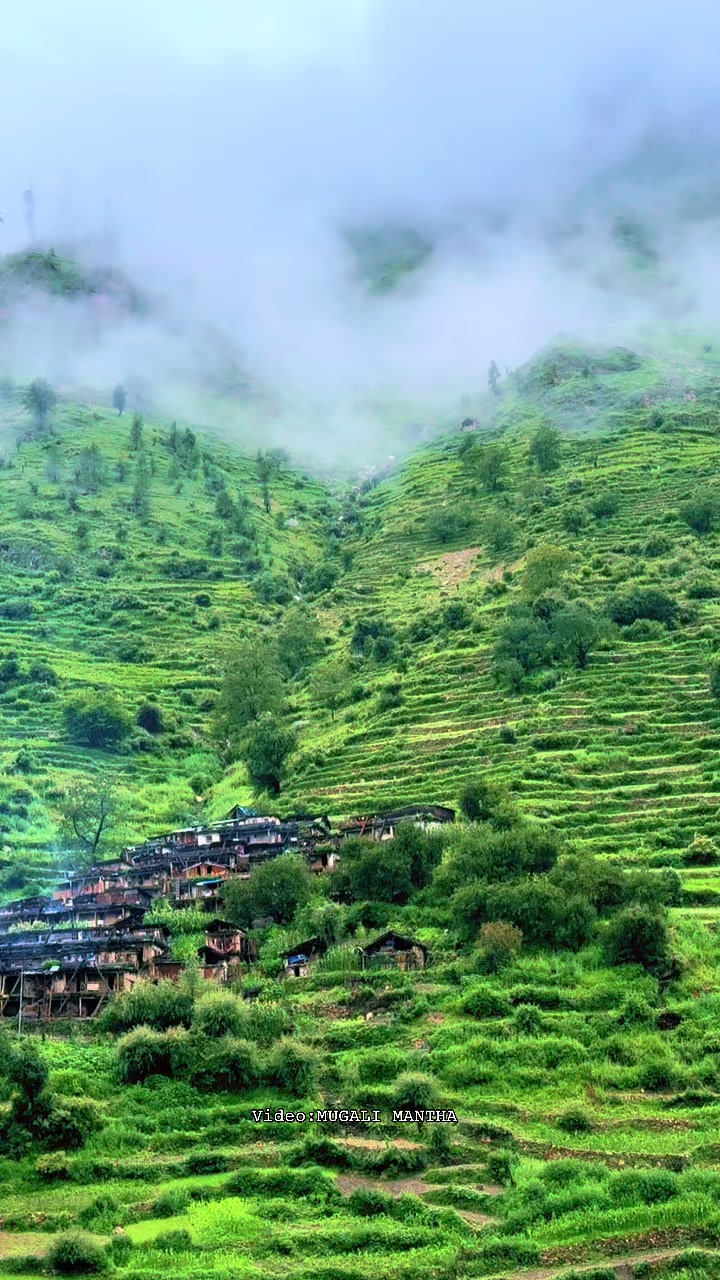 @मुगालि मान्ठ🇳🇵