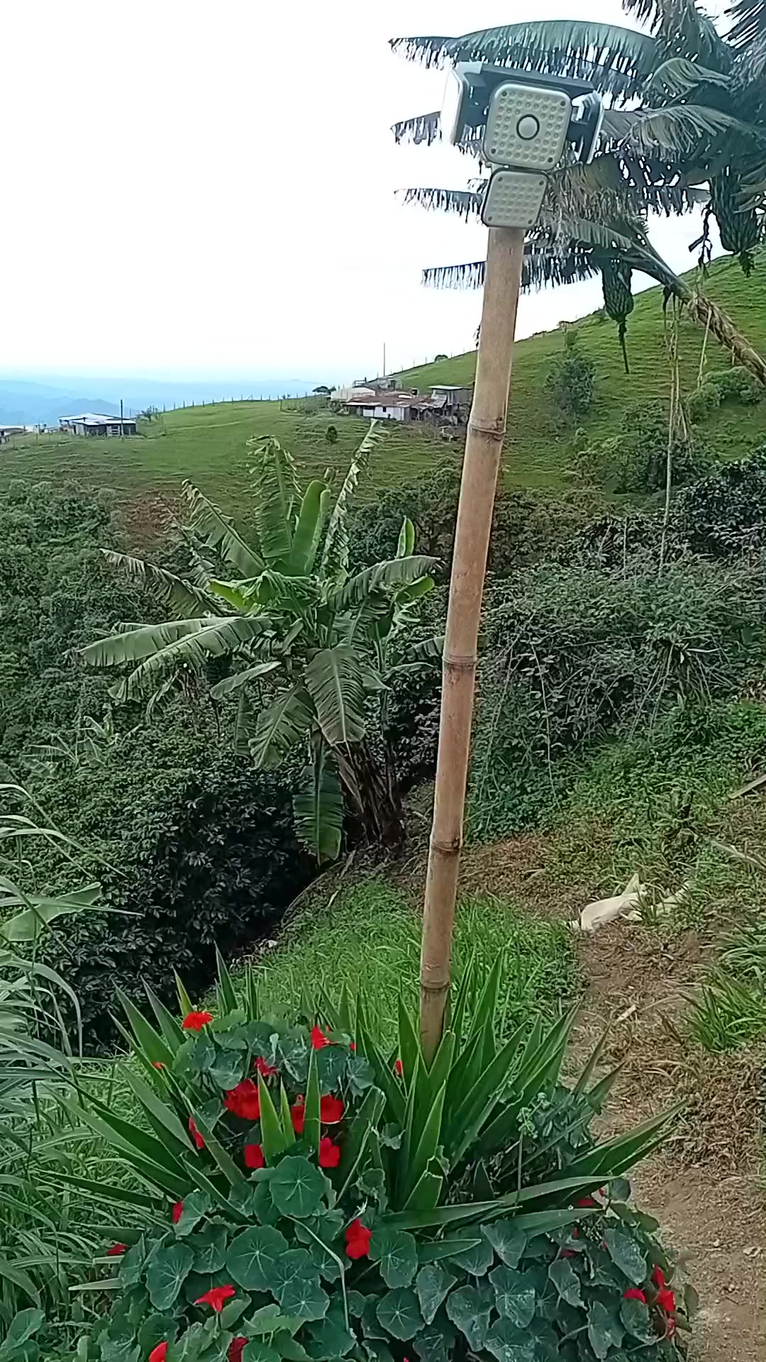 @Jos&eacute; Orlando