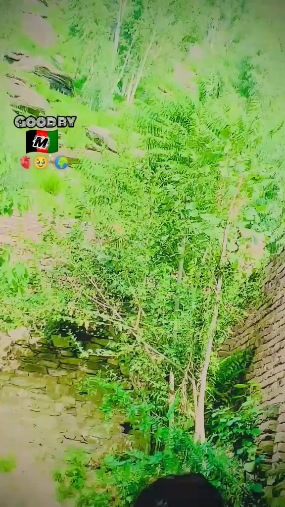 @༶ 😇₱łⱤØ Ⱨ₳Ⱡ₳₭ 🤷🏻 ༶