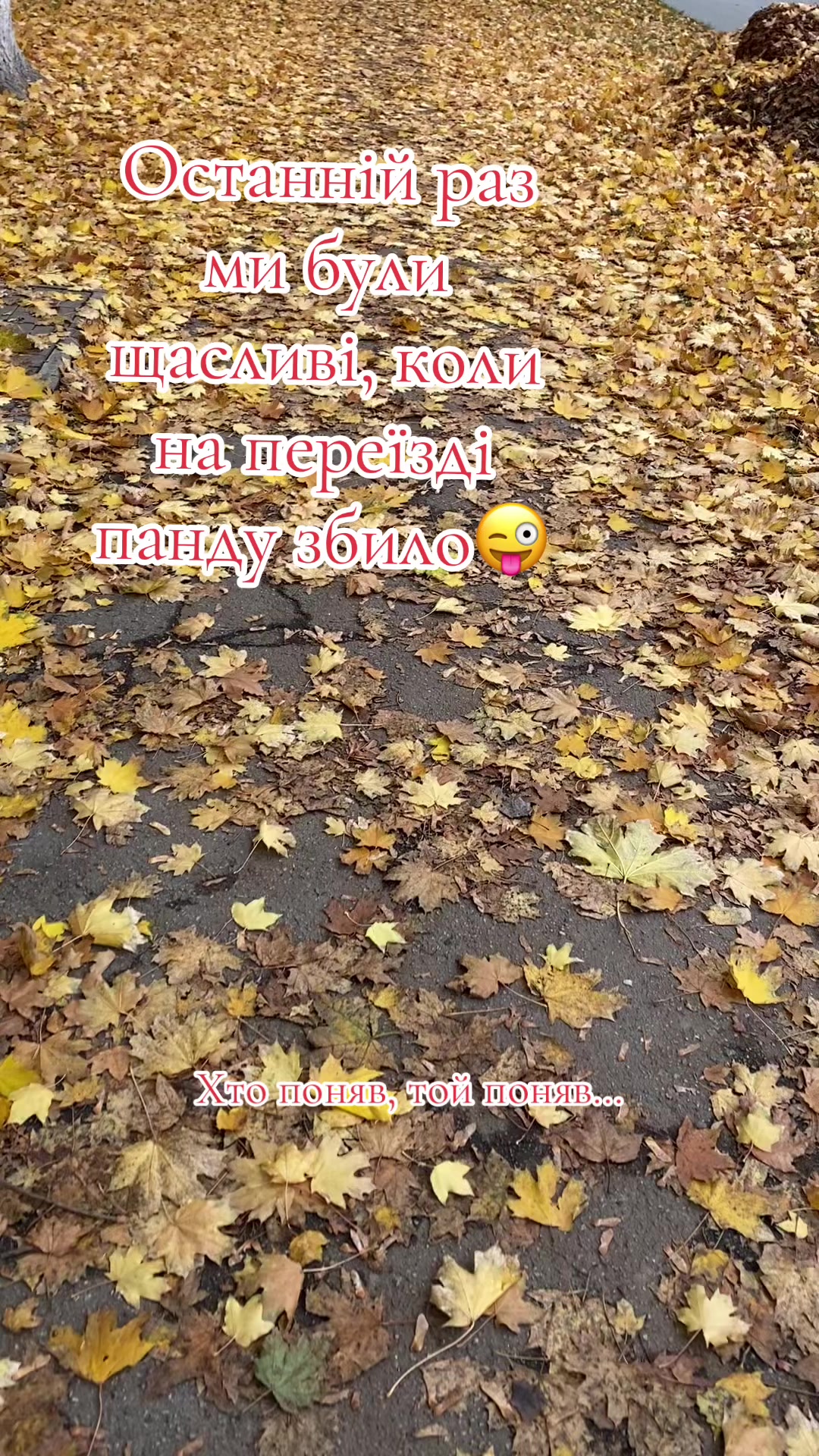 @𝓢𝓪𝓶𝓮_𝓽𝓪✅