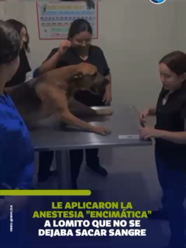 @EjeCentral