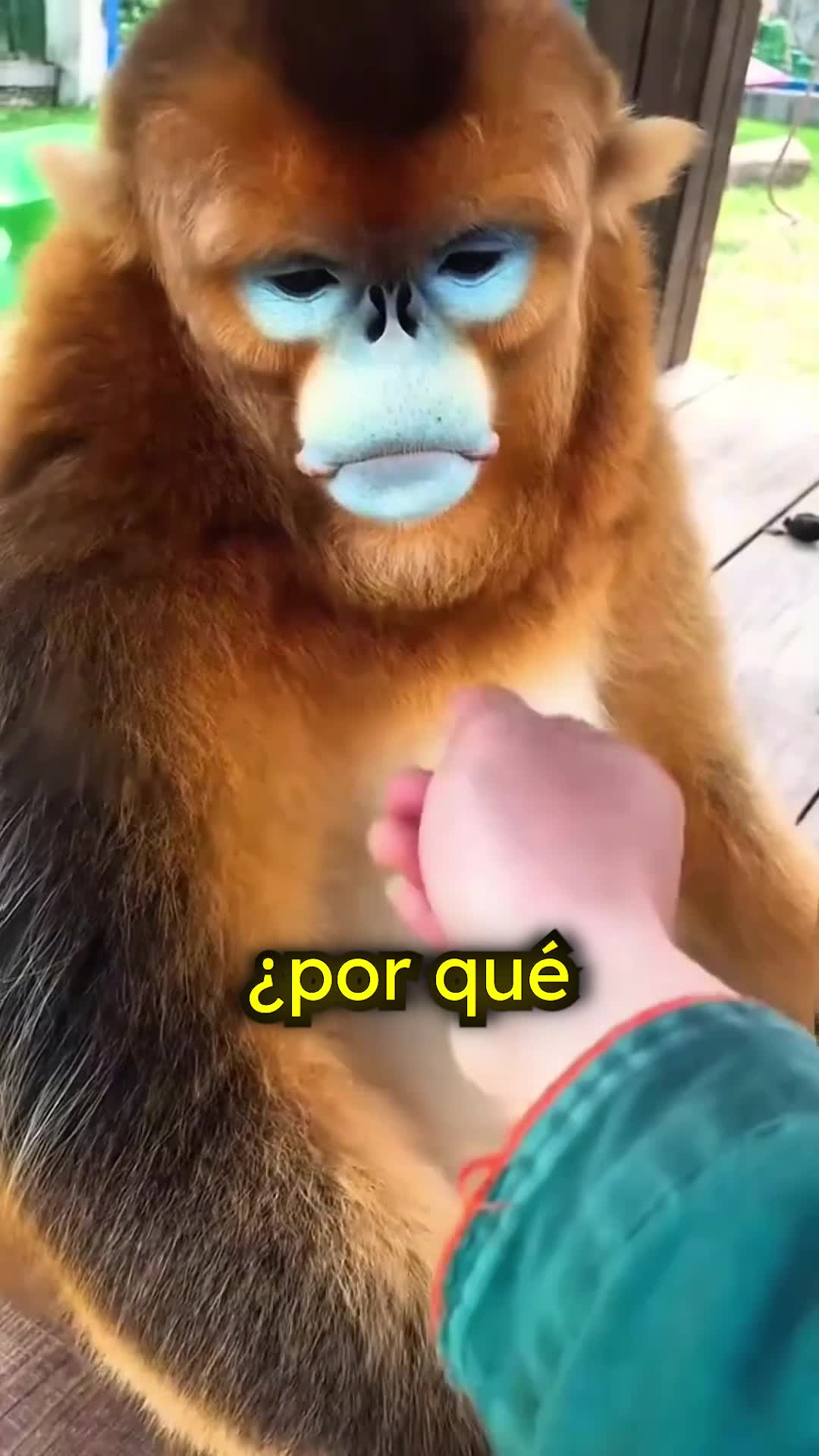 @CuriosoBen 😾