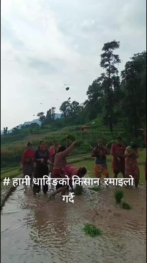 @LaxmiNarayan