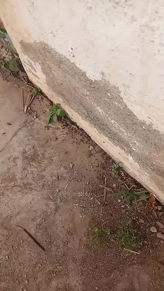 @Boboo💫💢💥🥰