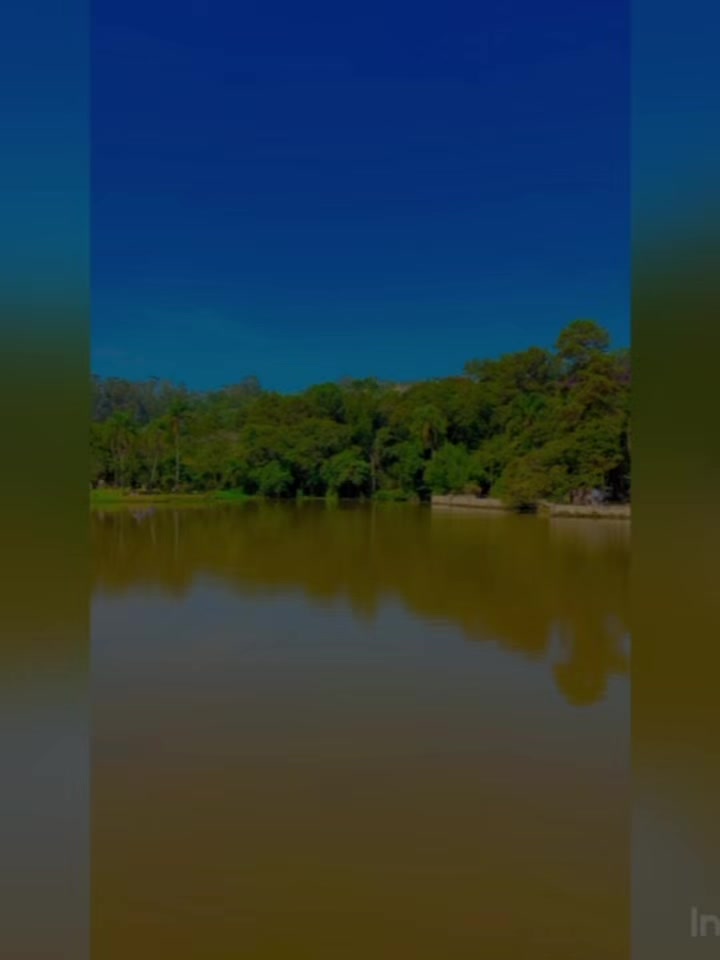 @Daniel Arantes Gonçalves